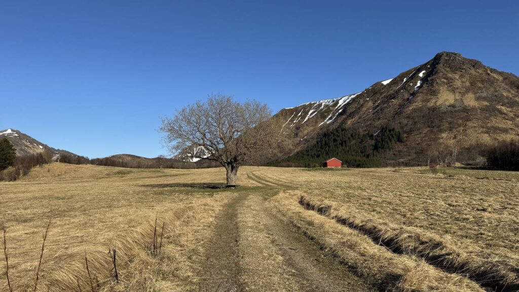 Marmelkroken - boom en rood huisje