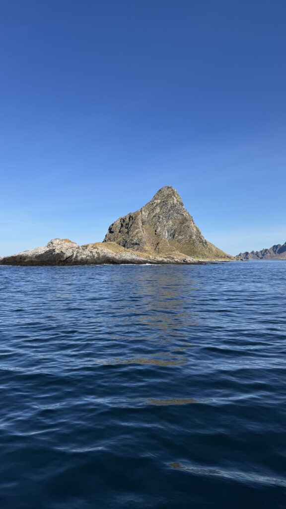 Vesteralen - rots bleiksoya