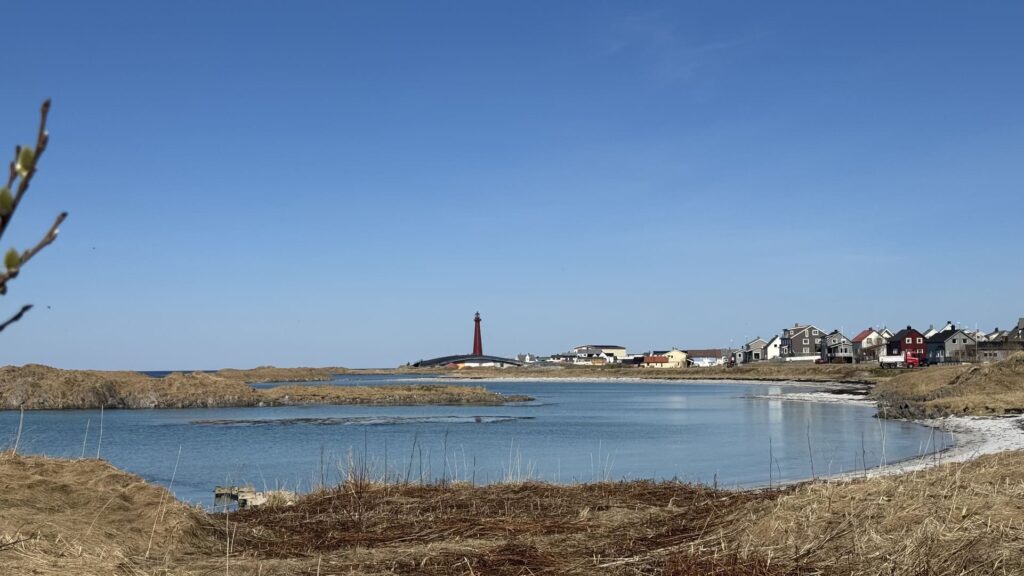 Vesteralen - andenes - the whale in aanbouw