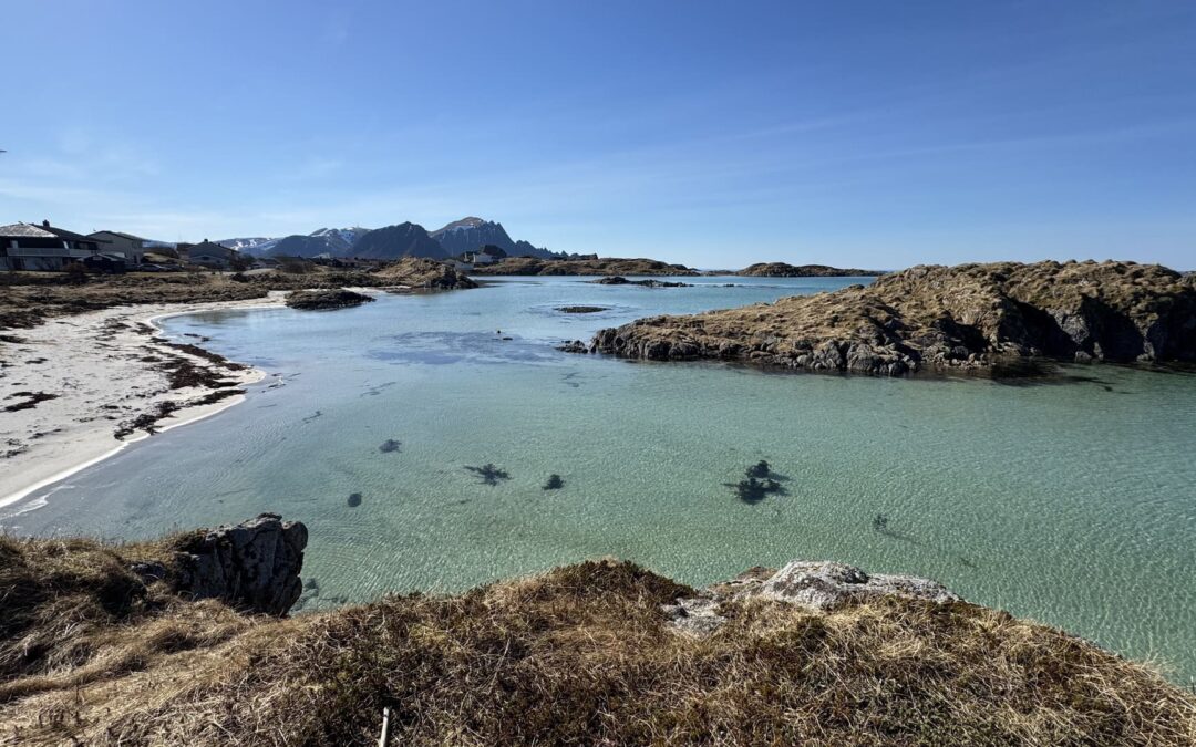 Rondreis Lofoten en Vesteralen - Vesteralen strand
