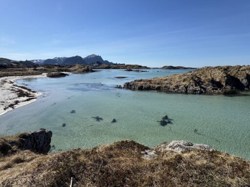 Rondreis Lofoten en Vesteralen - Vesteralen strand