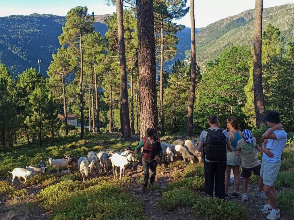 Casa Cerro da Correia - volg de herder - gezin