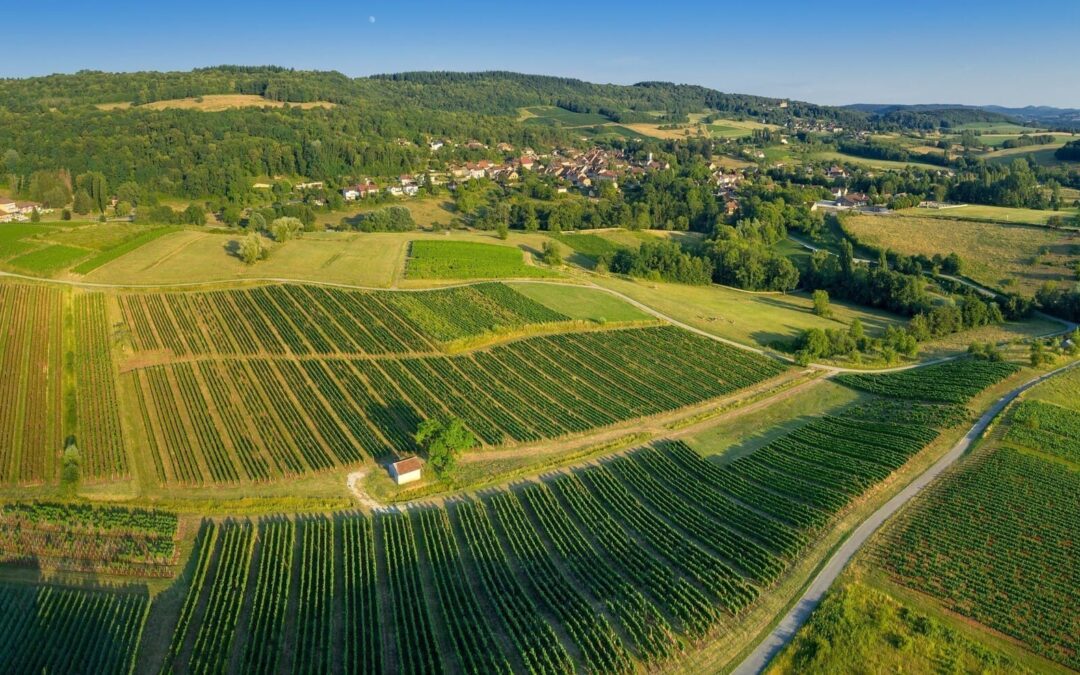 wandelreis jura gebergte - landschap echappee jurassienne