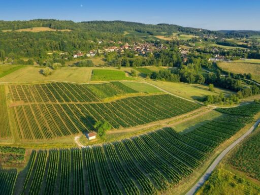 wandelreis jura gebergte - landschap echappee jurassienne