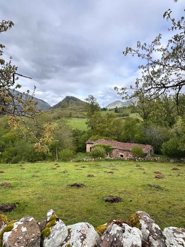 Foto 06 05 2026 09 50 07