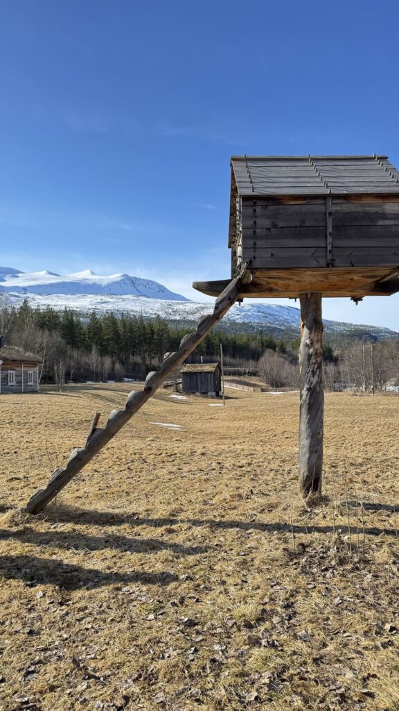 Nationaal Park Nordland - paalhut