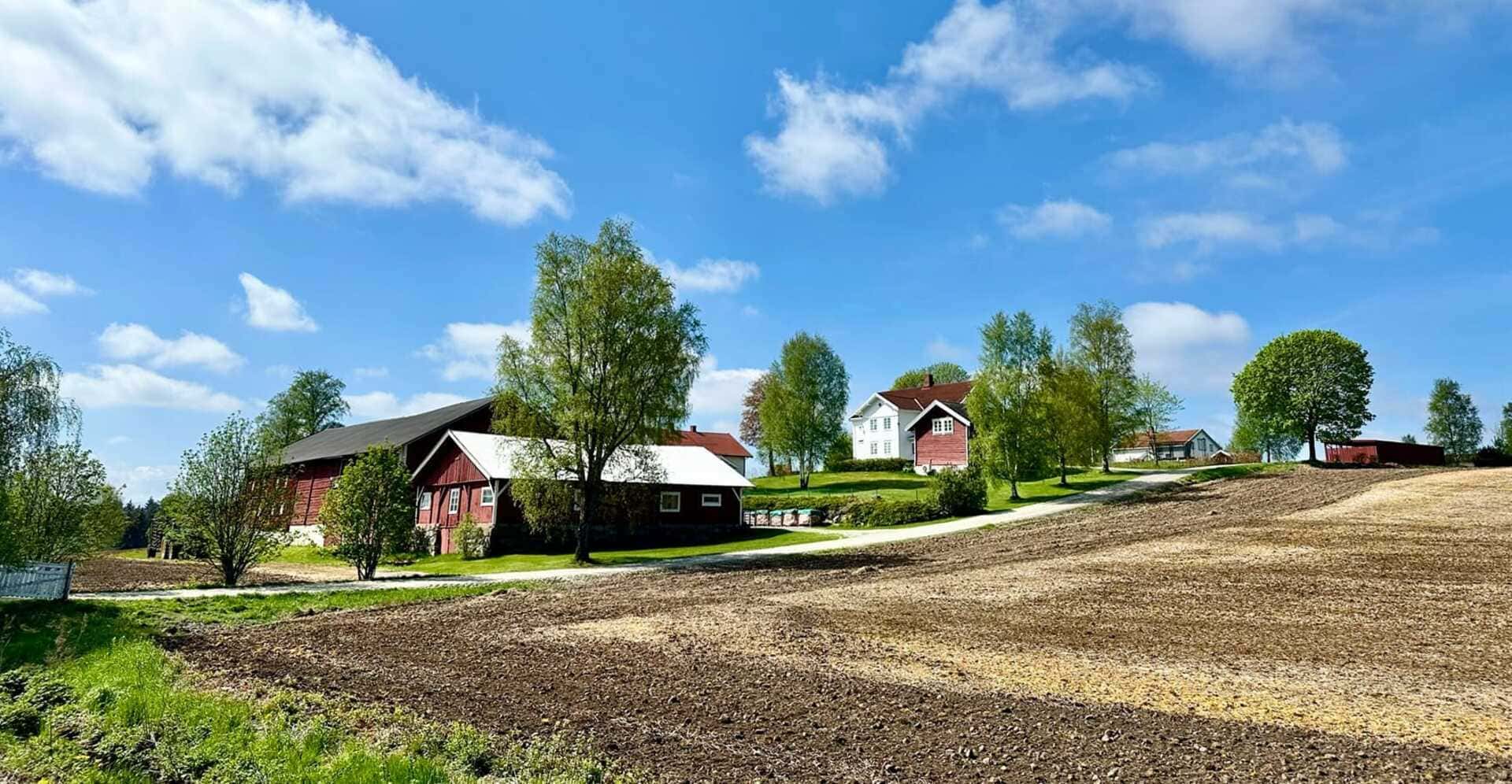 Rondreis Noorwegen Zweden, natuur en cultuur 1 Geboortehuis Edward Munch