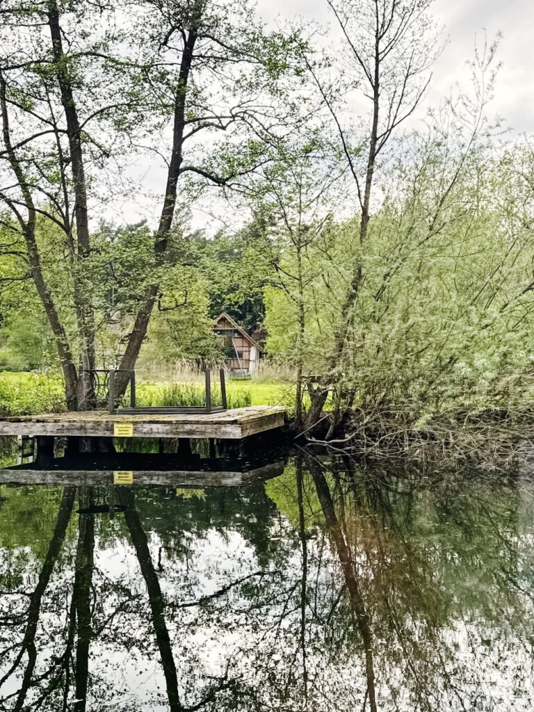 Stedentrip Lübeck & Travemünde: van Hanzestad naar de Amazone van het Noorden 7 Lubeck - wakenitz - weerspiegeling water