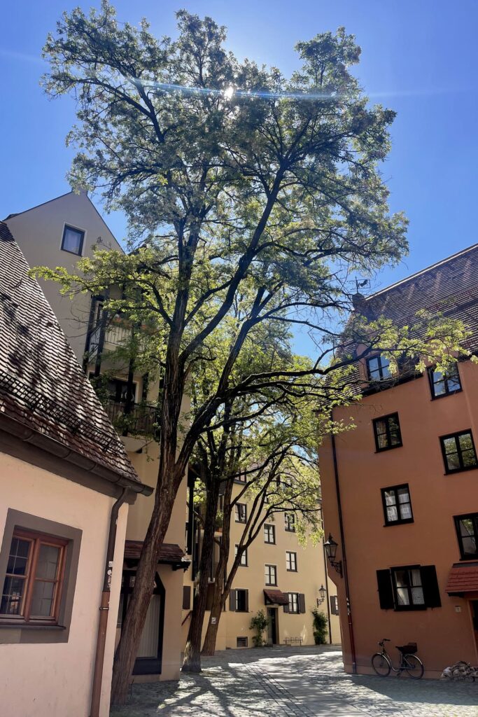 Augsburg-straat met bomen