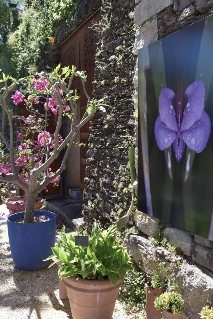 Isole di brissago - tuin met foto-expositie bloemen