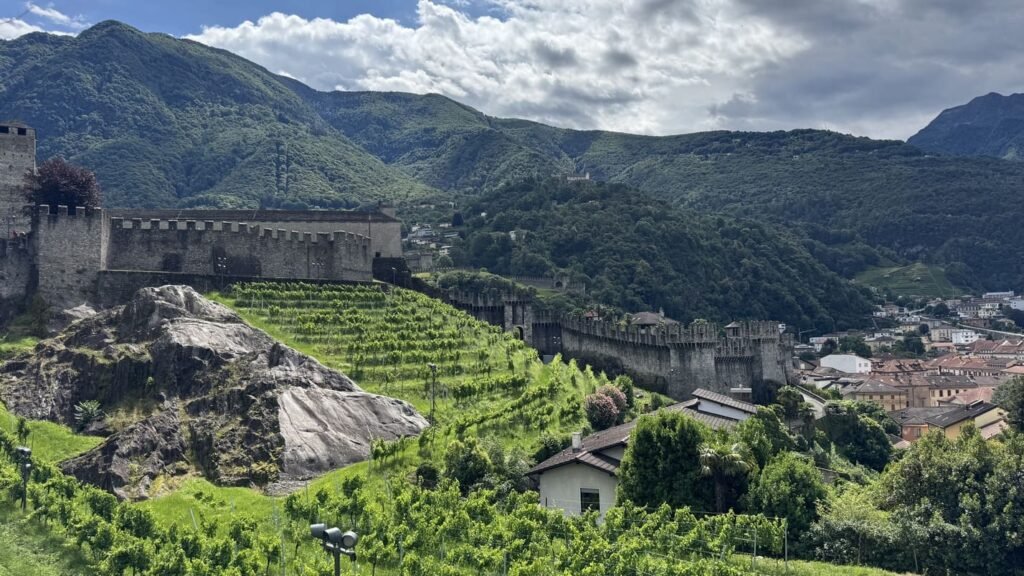 Bellinzona - Castle and Vineyards