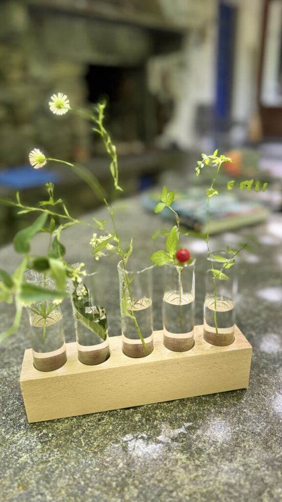 Intragna - lunch plantjes op tafel