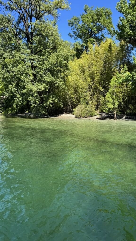Isole di brissago - strandje met groen water