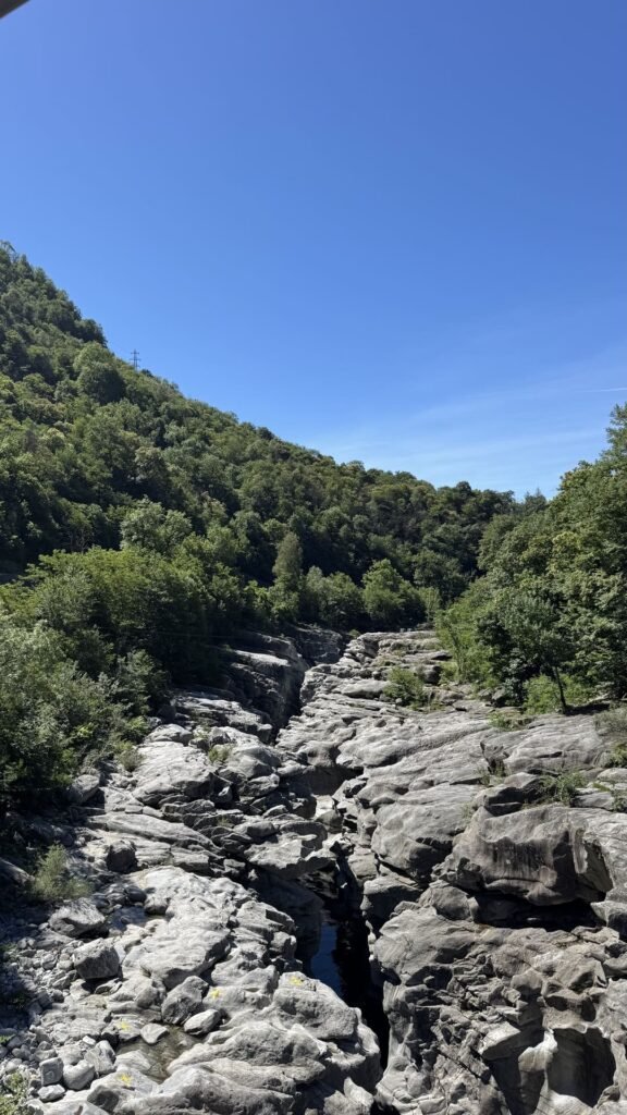 Valle Maggia - Rocks and Forest