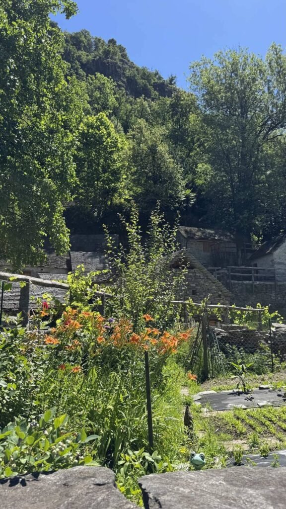 Valle maggia - authentieke huizen Avegno