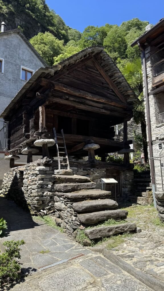 Valle maggia - moghegno - hazelnoot hut - gra