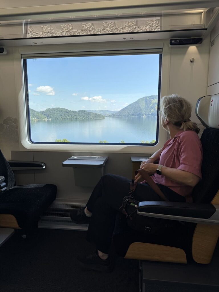 Met de trein naar Ticino - uitzicht vierwoudstrekenmeer