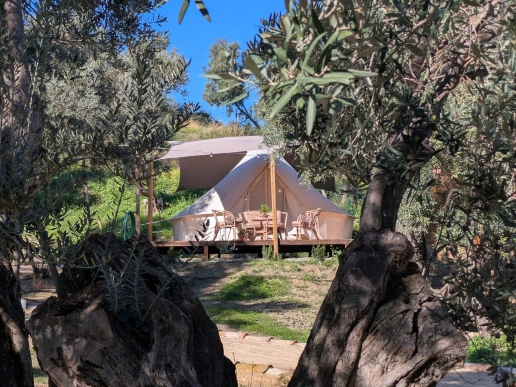 I Giardini del caramante - tent - olijfboom detail