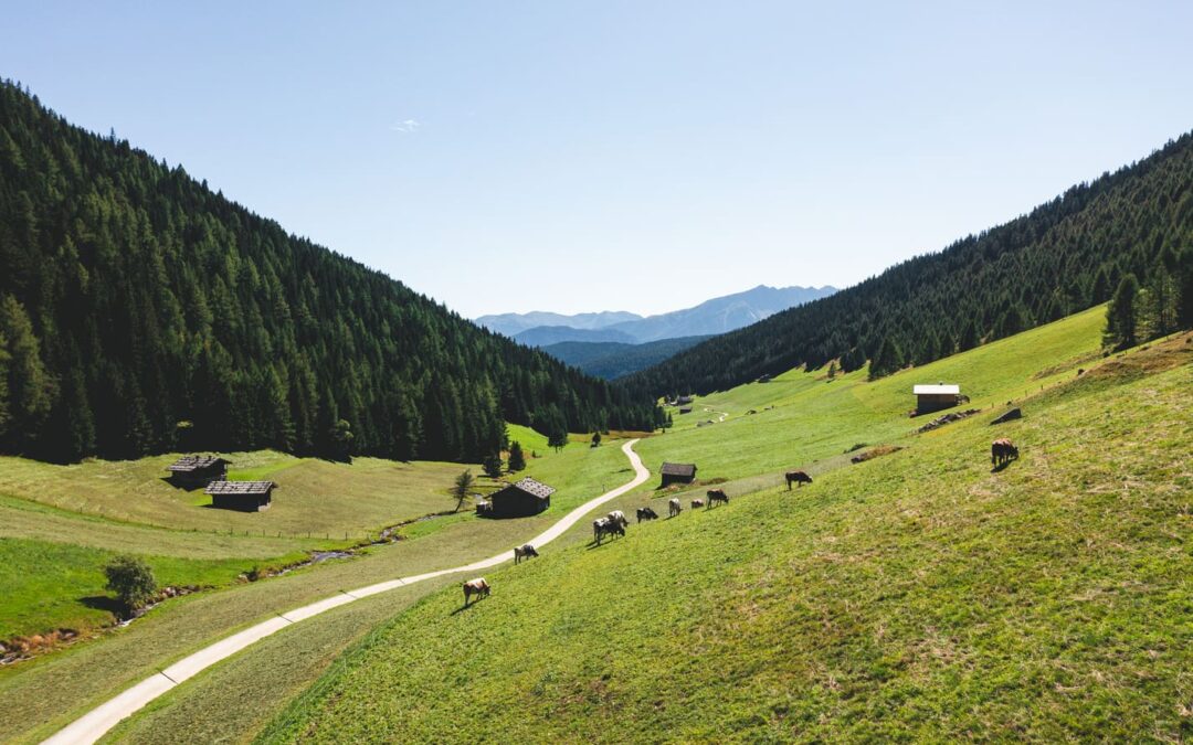 Gitschberg Jochtal - wandelpad in vallei