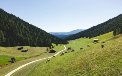 Gitschberg Jochtal: wandelen in een onbekend hoekje van Süd-Tirol