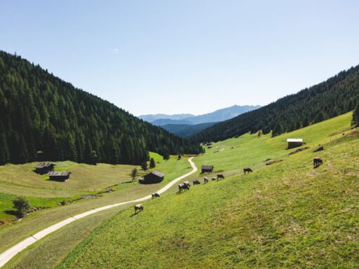 Gitschberg Jochtal - wandelpad in vallei