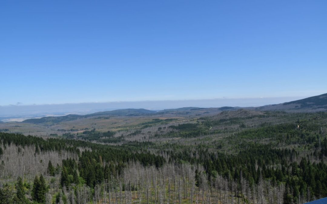 Nationaal park Harz - de echte staat van de natuur