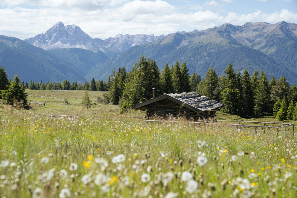 Gitschberg Jochtal: wandelen in een onbekend hoekje van Süd-Tirol 1 Gitschberg - Jochtal - hut in bergen