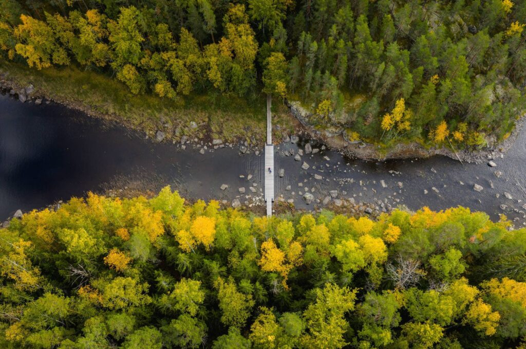 Wandelen Saimaa: de mooiste natuurpaden en nationale parken bij Mikkeli 12 Finland-meer Saimaa-Linnansaari-syksy-Visit-Savonlinna