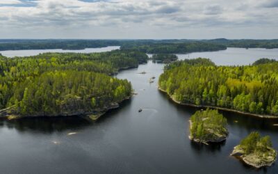 Wandelen Saimaa: de mooiste natuurpaden en nationale parken bij Mikkeli