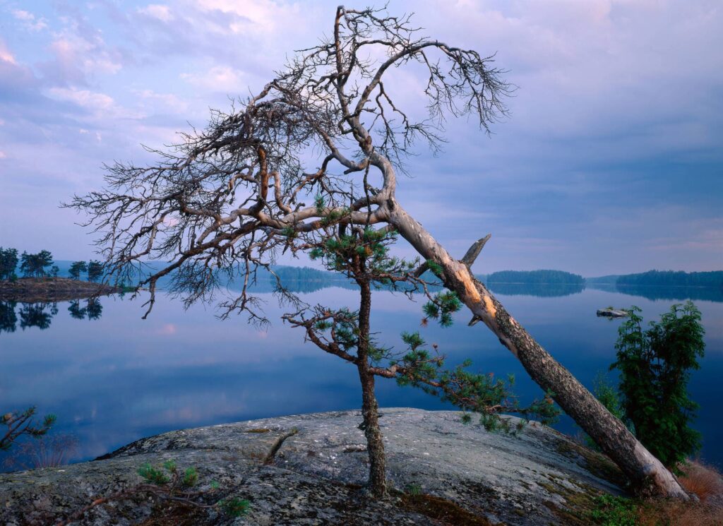 Wandelen Saimaa: de mooiste natuurpaden en nationale parken bij Mikkeli 2 Finland_Saimaa_Geopark_Arto Hämäläinen_SGP_visit-finland