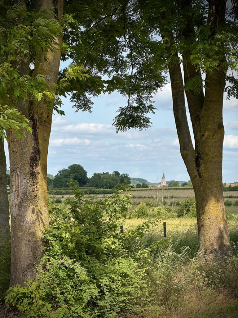 South Limburg with a Difference: Sustainable Travel Through the Hilly Countryside 3 A glimpse through the trees - Wittem, South Limburg