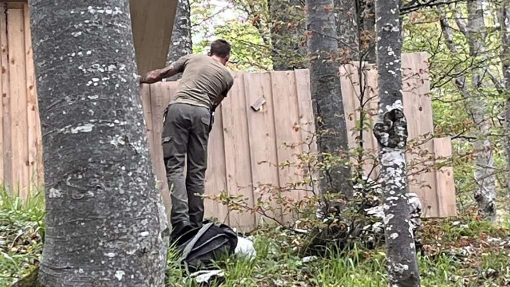 Doen in Slovenië: beren in het wild spotten 1 Gids Grega kijkt of er een beer in de buurt is