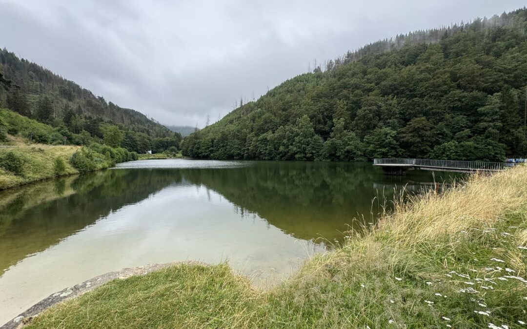Nationaal park Harz - de echte staat van de natuur
