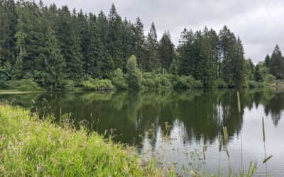Hiking in the Harz Mountains: Our Experiences and Route Tips from Locals