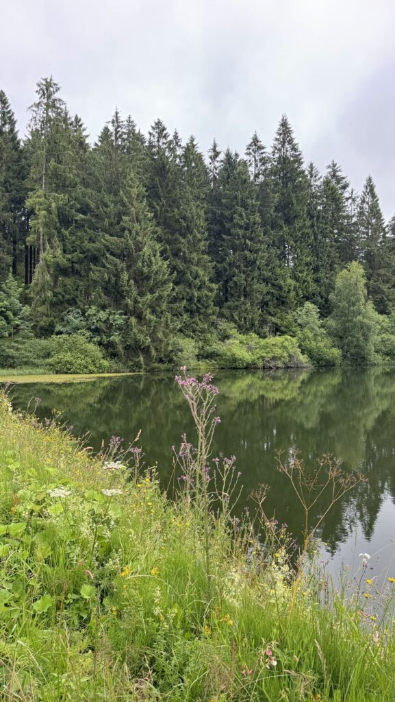 Harz wandelen - liebesbankweg - meertje
