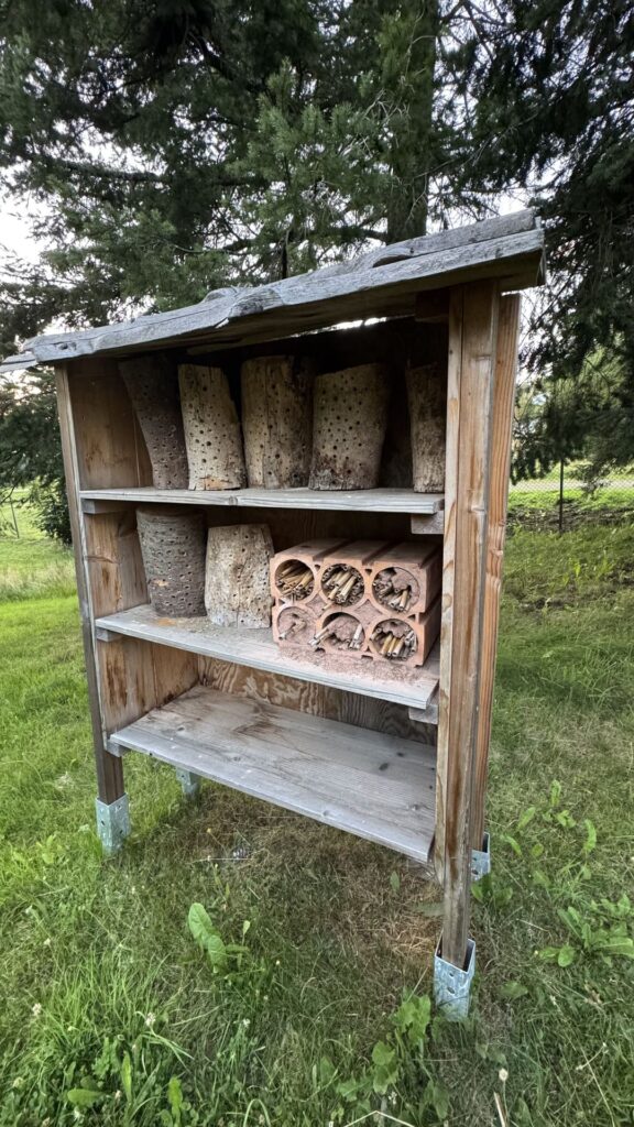 Braunlage park - insectenhotels