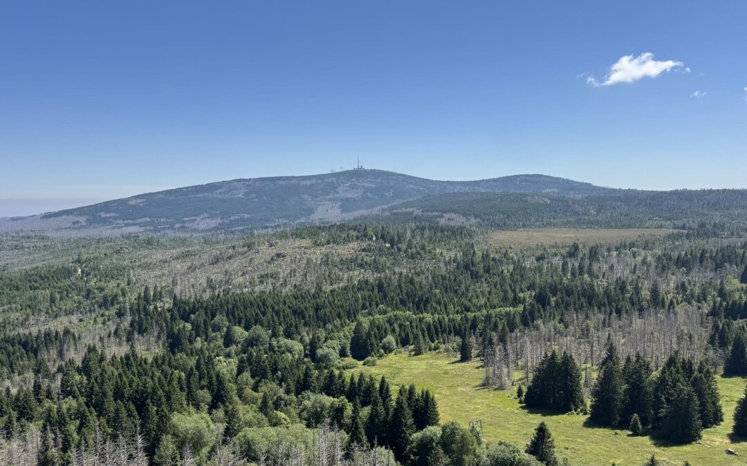 Wandelen Harz - uitzicht vanaf Harzturm op Brocken