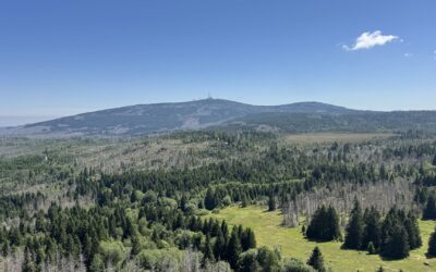 Wandelen in de Harz: onze ervaringen en routetips van locals