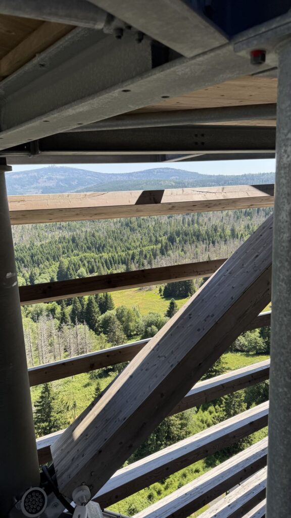 Nationaal Park Harz: de echte staat van de natuur 1 Nationaal park harz - uitzicht vanaf Harzturm toren