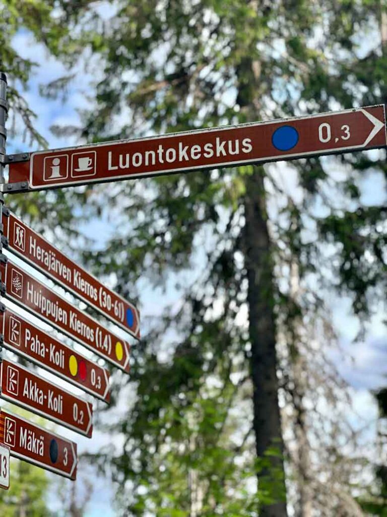 Noord-Karelië, de onontdekte natuurregio van Finland 17 NTL Mieke Tacken08 06 2026 18 22 29
