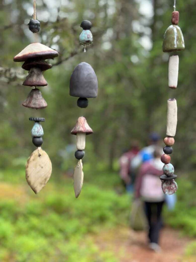 Noord-Karelië, de onontdekte natuurregio van Finland 31 NTL Mieke Tacken10 06 2026 10 56 13