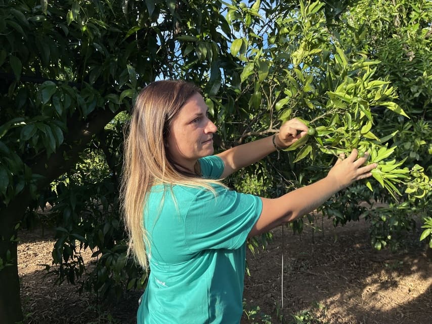 Annalisa shows off some small citrus fruits