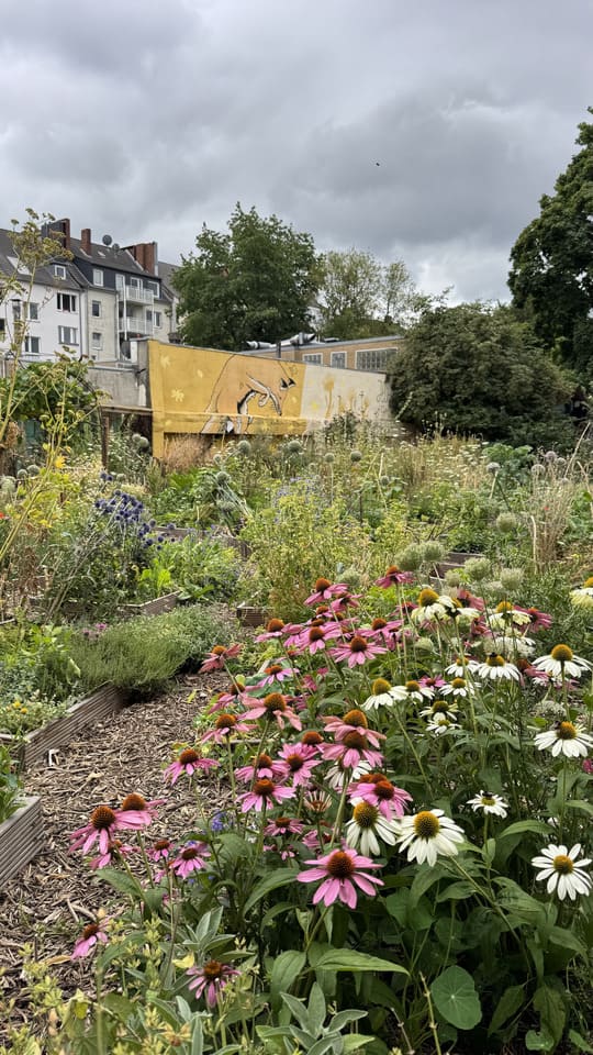 Groen Aken: citytrip met bos, biotuin en Karel de Grote 21 Aken - biotuin Hirschgrün - bloemen