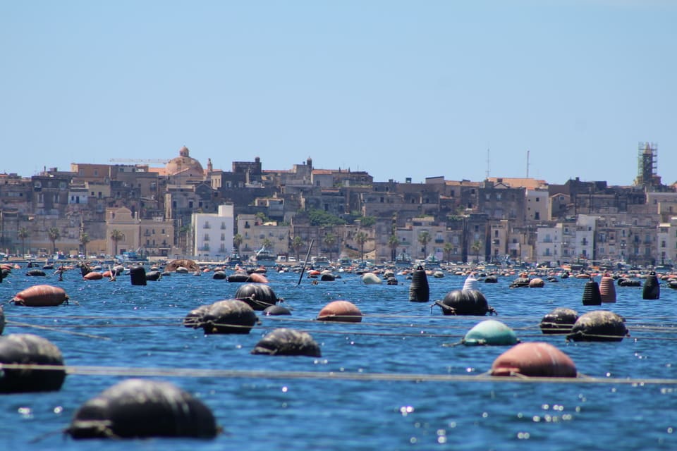 Slow Food Puglia - Mussel beds and the Taranto skyline