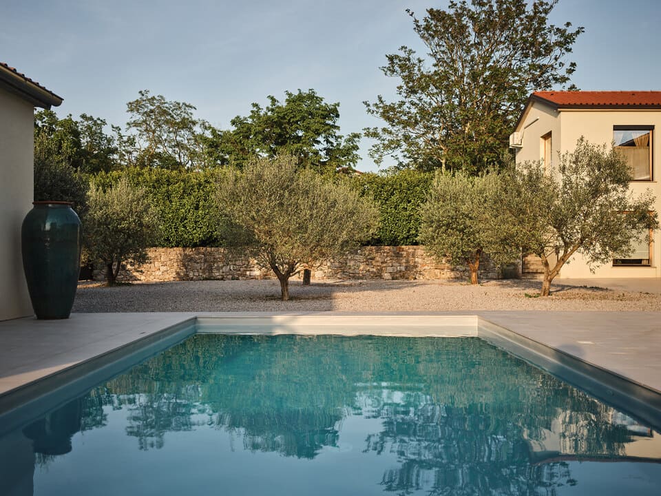 Karst & Vipava Valley: Slovenia’s Underrated Gem of Caves, Wine, and Limestone 18 Hotel St. Daniel - Swimming Pool Surrounded by Olive Trees