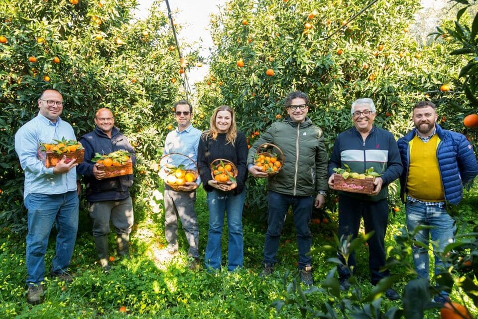 Puglia - From Farm to Table - Group of Citrus Fruit Producers