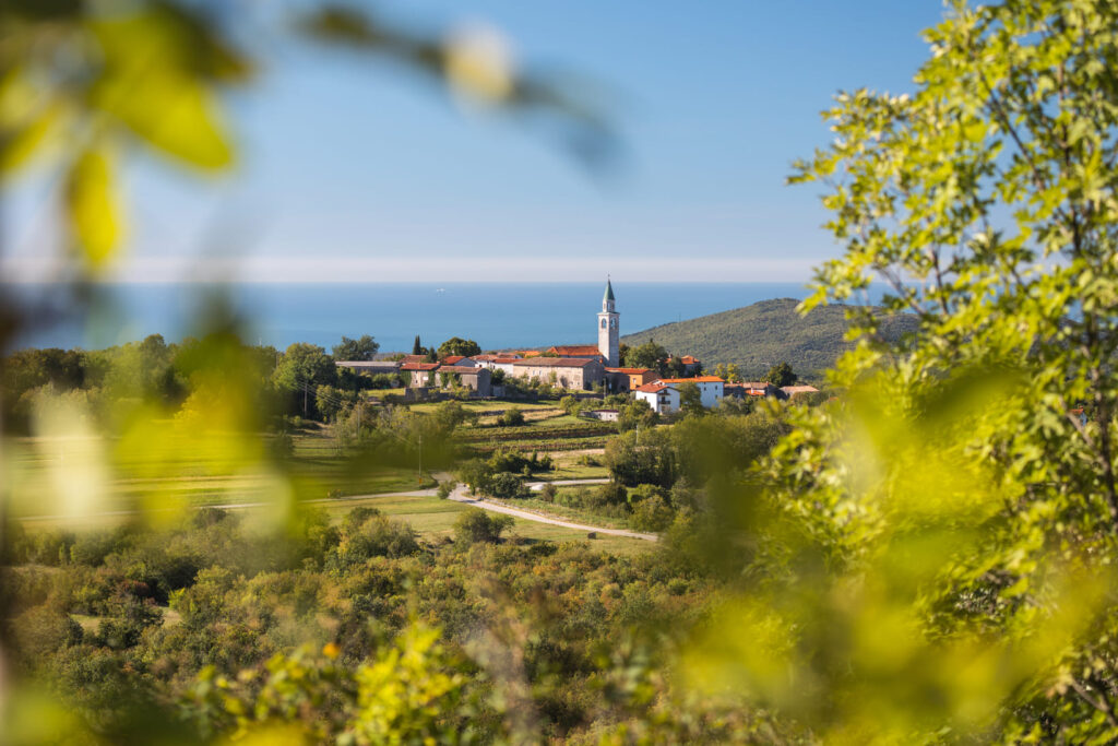 Karst & Vipava Valley: Slovenia’s Underrated Gem of Caves, Wine, and Limestone 11 Karst - Temnica_Jost_Gantar - small town