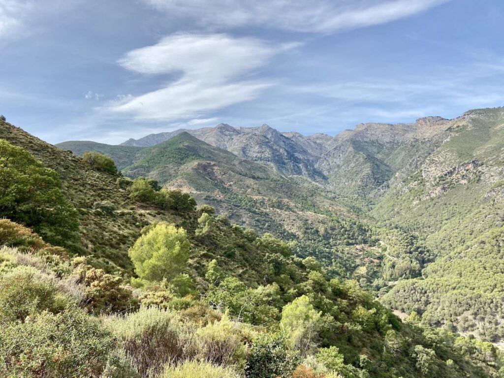 Alora en de Guadalhorce-vallei: onbekend achterland van Malaga 5 Tolox Sierra de las Nieves