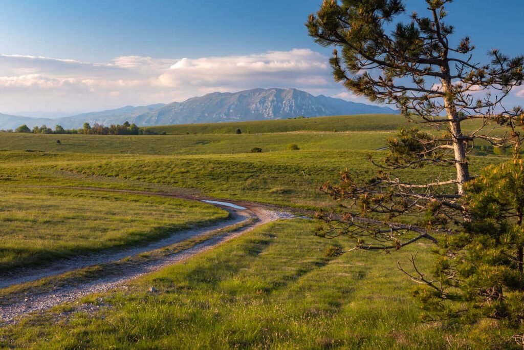 Karst & Vipava Valley: Slovenia’s Underrated Gem of Caves, Wine, and Limestone 2 Vremščica_Jost_Gantar_IZBOR - hiking trail