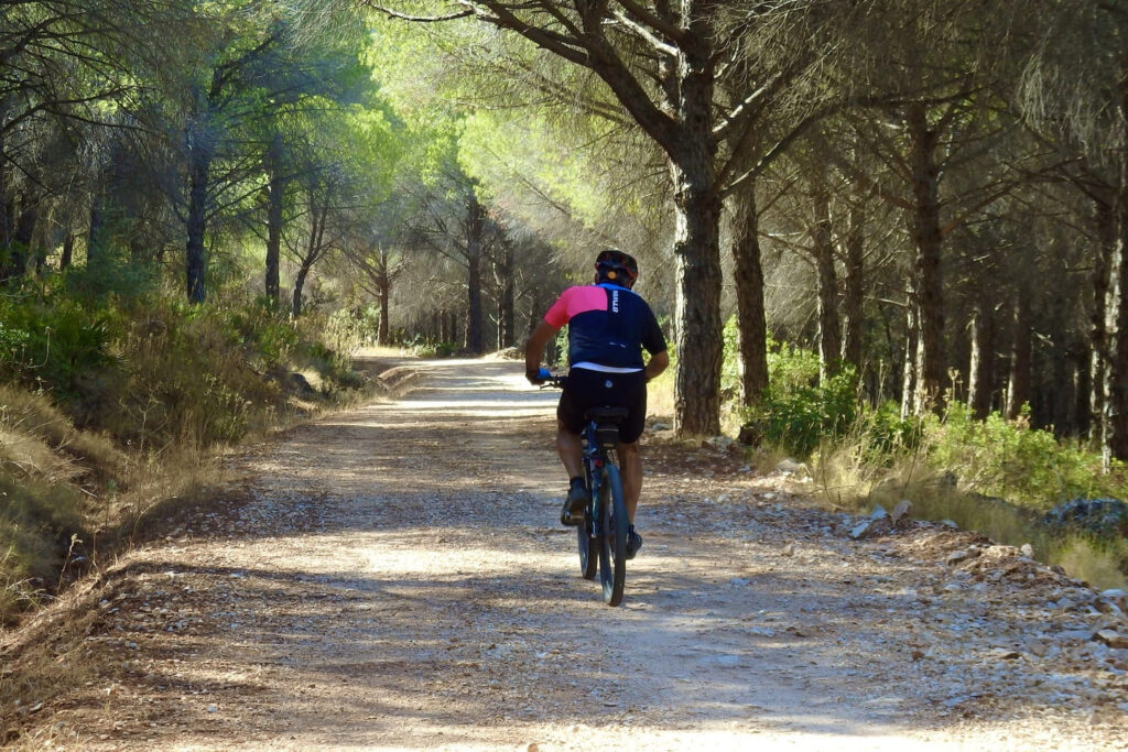 Alora en de Guadalhorce-vallei: onbekend achterland van Malaga 8 fietsen in Andalusie